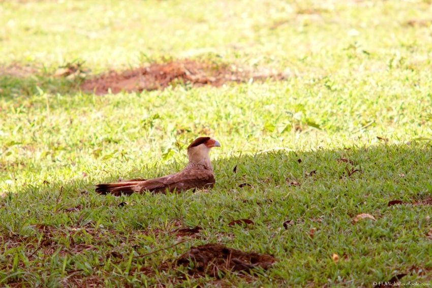 Studio-One.Art.br Repo Fotografia em Rio Preto SP/Brasil