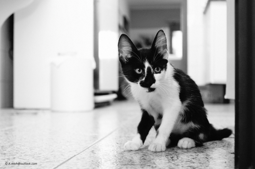 Studio-One.Art.br Repo Fotografia em Rio Preto SP/Brasil