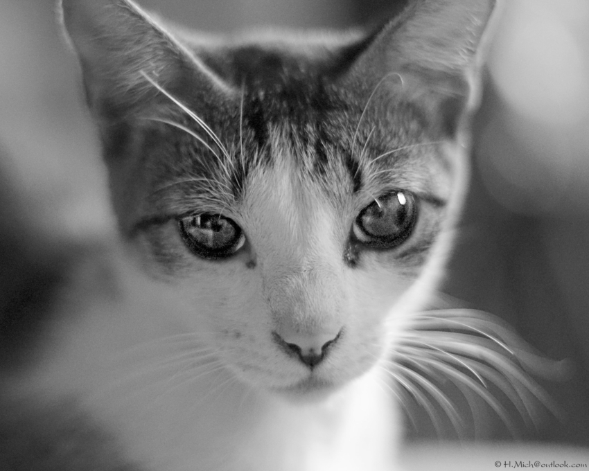 Studio-One.Art.br Repo Fotografia em Rio Preto SP/Brasil