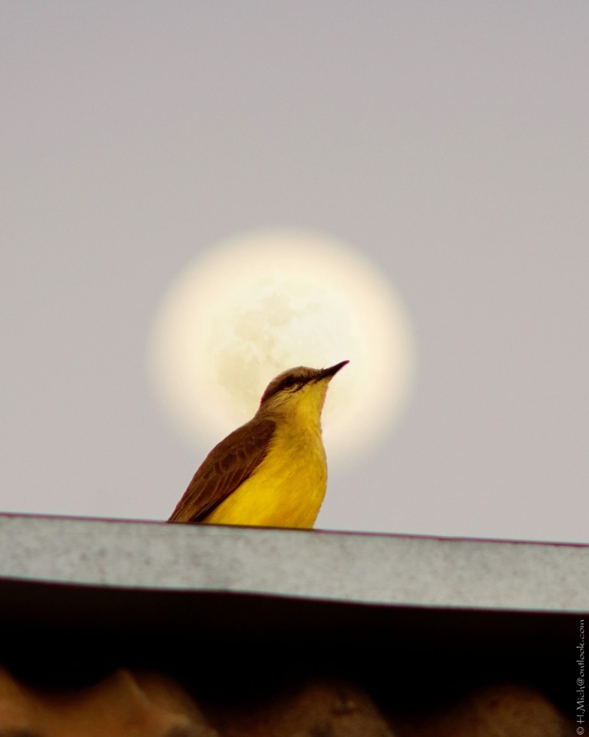 Studio-One.Art.br Repo Fotografia em Rio Preto SP/Brasil