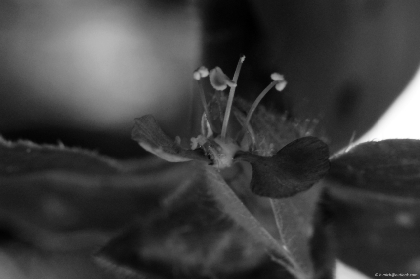 Studio-One.Art.br Repo Fotografia em Rio Preto SP/Brasil