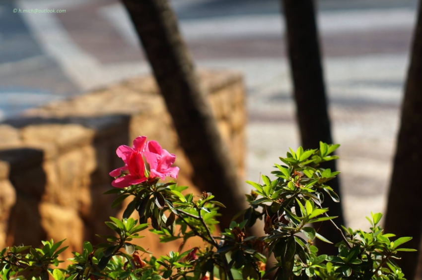 Studio-One.Art.br Repo Fotografia em Rio Preto SP/Brasil