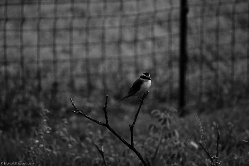 Studio-One.Art.br Repo Fotografia em Rio Preto SP/Brasil