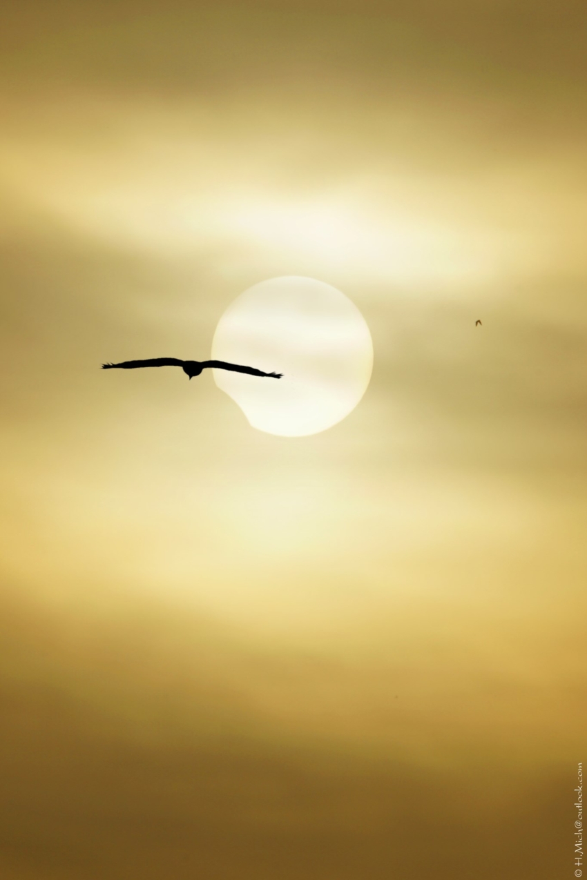 Studio-One.Art.br Repo Fotografia em Rio Preto SP/Brasil