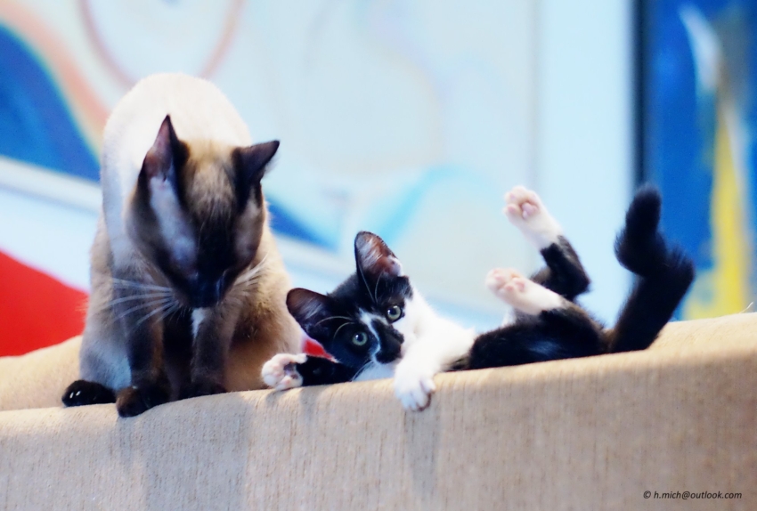 Studio-One.Art.br Repo Fotografia em Rio Preto SP/Brasil