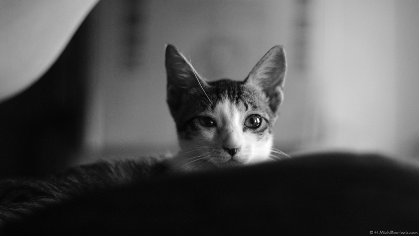 Studio-One.Art.br Repo Fotografia em Rio Preto SP/Brasil