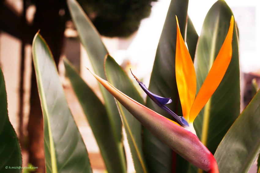 Studio-One.Art.br Repo Fotografia em Rio Preto SP/Brasil