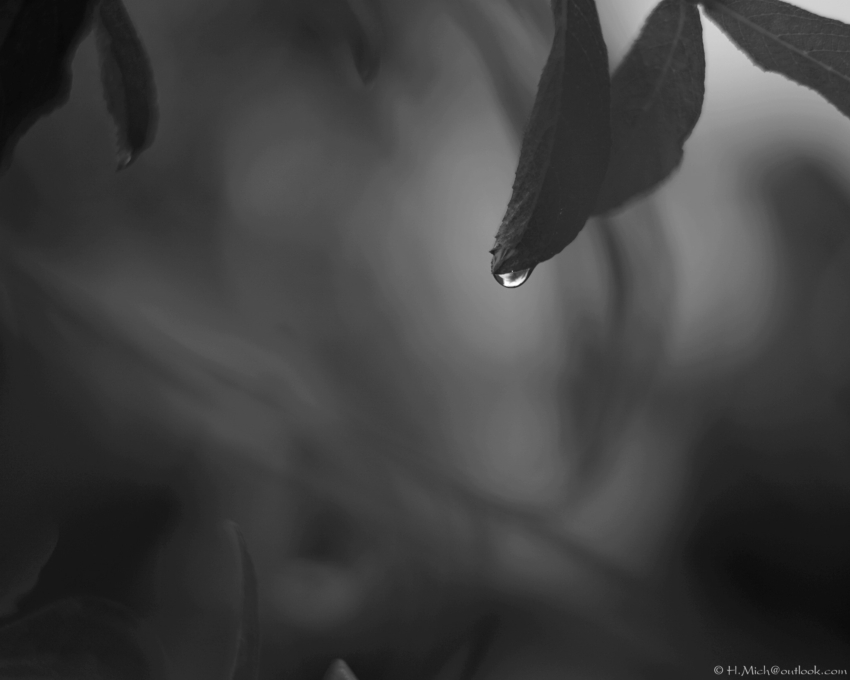 Studio-One.Art.br Repo Fotografia em Rio Preto SP/Brasil