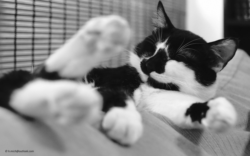 Studio-One.Art.br Repo Fotografia em Rio Preto SP/Brasil