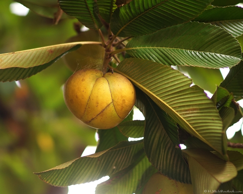 Studio-One.Art.br Repo Fotografia em Rio Preto SP/Brasil