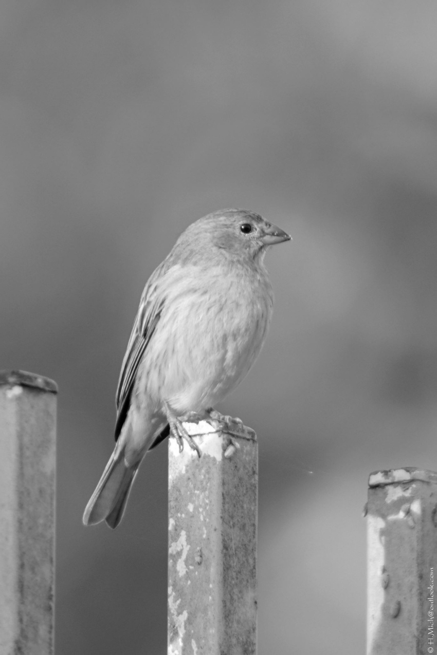 Studio-One.Art.br Repo Fotografia em Rio Preto SP/Brasil