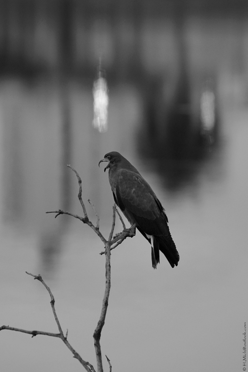 Studio-One.Art.br Repo Fotografia em Rio Preto SP/Brasil