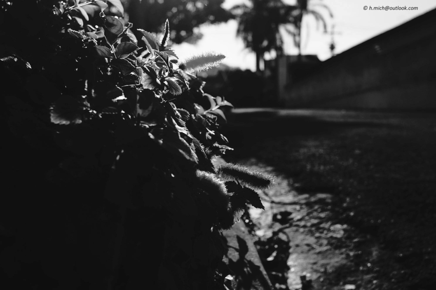 Studio-One.Art.br Repo Fotografia em Rio Preto SP/Brasil