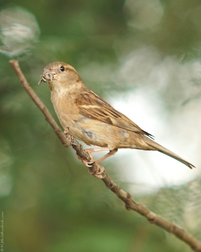 Studio-One.Art.br Repo Fotografia em Rio Preto SP/Brasil