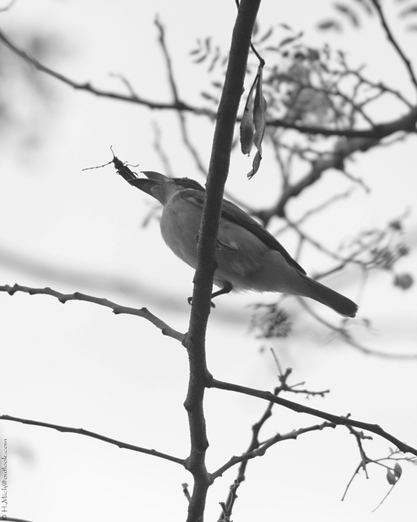 Studio-One.Art.br Repo Fotografia em Rio Preto SP/Brasil