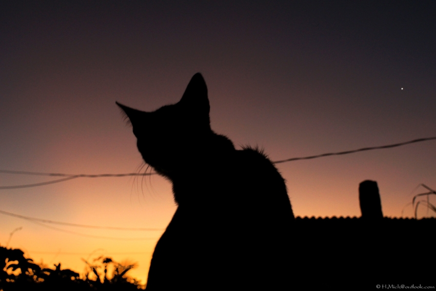 Studio-One.Art.br Repo Fotografia em Rio Preto SP/Brasil