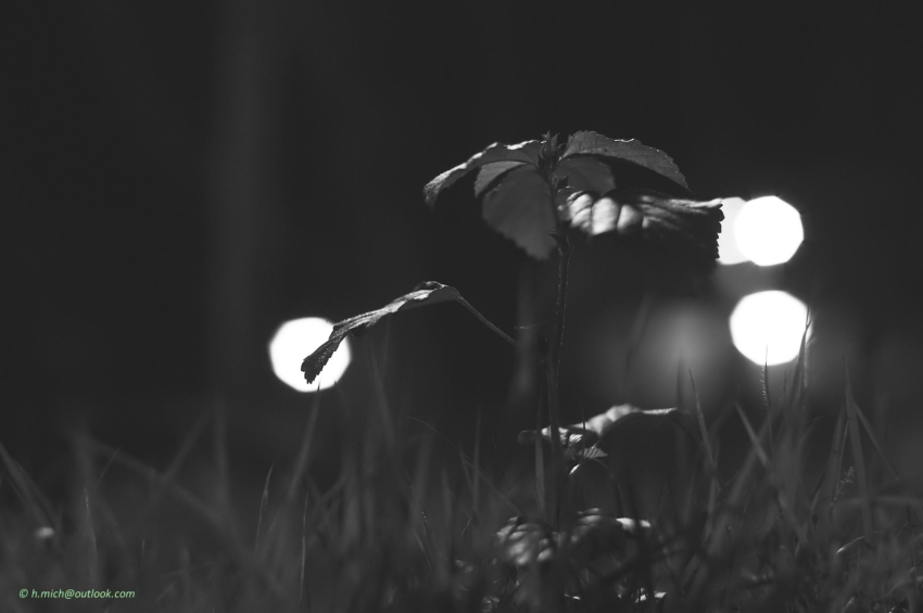 Studio-One.Art.br Repo Fotografia em Rio Preto SP/Brasil