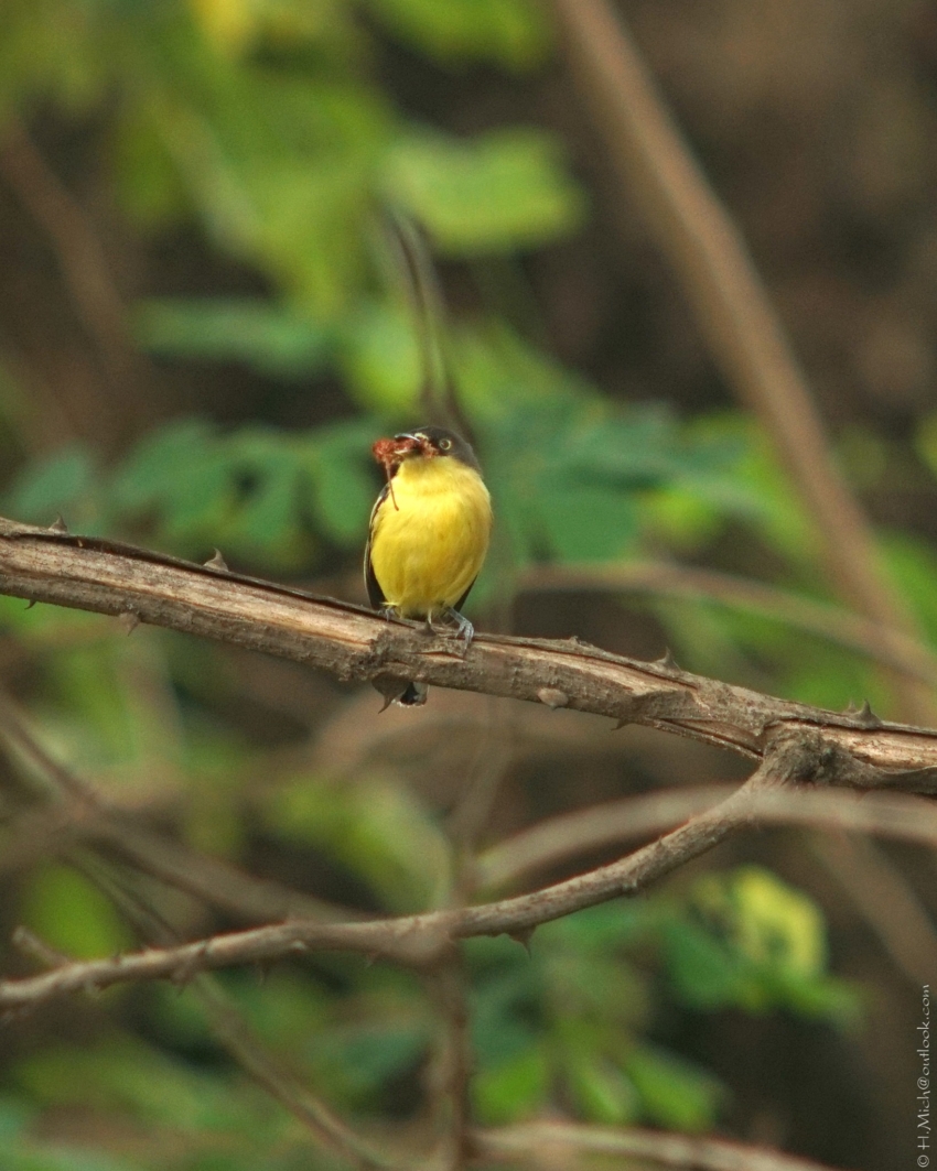 Studio-One.Art.br Repo Fotografia em Rio Preto SP/Brasil