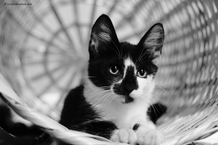 Studio-One.Art.br Repo Fotografia em Rio Preto SP/Brasil