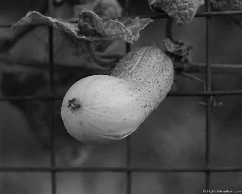 Studio-One.Art.br Repo Fotografia em Rio Preto SP/Brasil