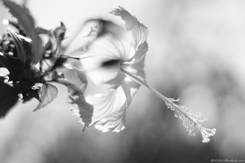 Studio-One.Art.br Repo Fotografia em Rio Preto SP/Brasil