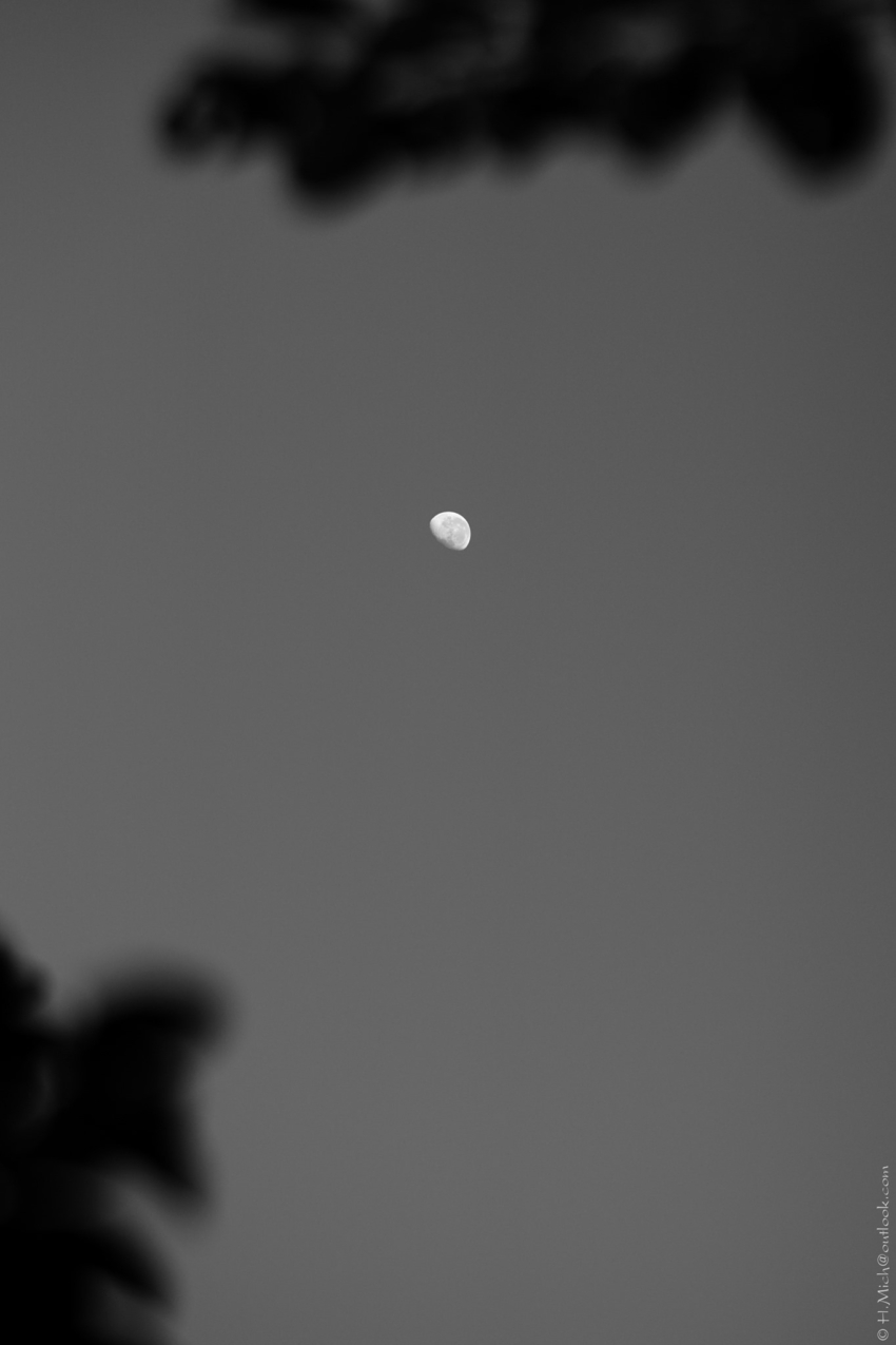 Studio-One.Art.br Repo Fotografia em Rio Preto SP/Brasil