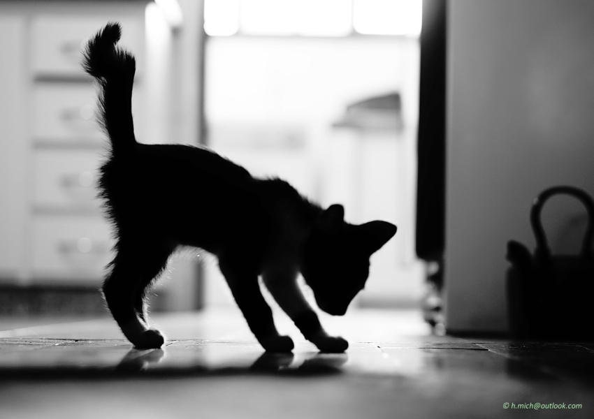 Studio-One.Art.br Repo Fotografia em Rio Preto SP/Brasil