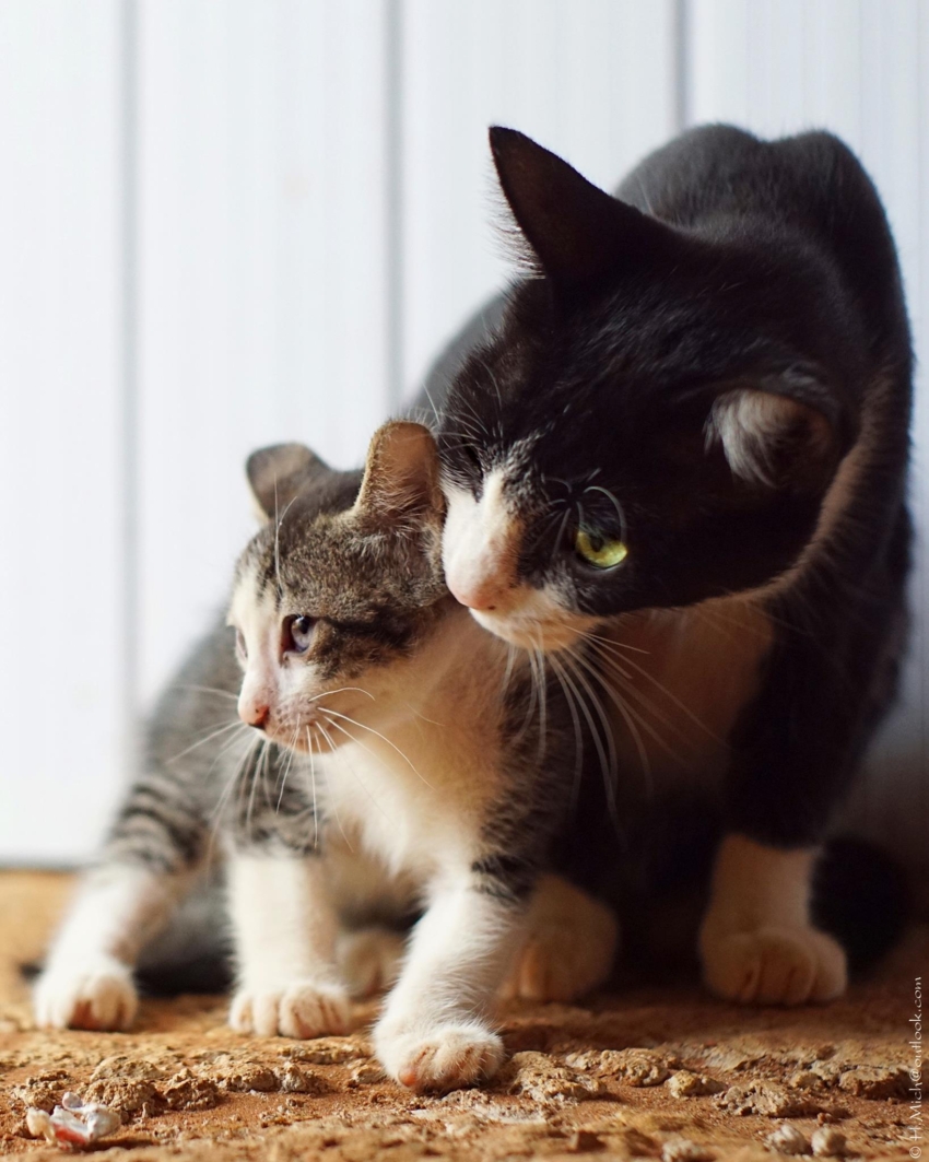 Studio-One.Art.br Repo Fotografia em Rio Preto SP/Brasil