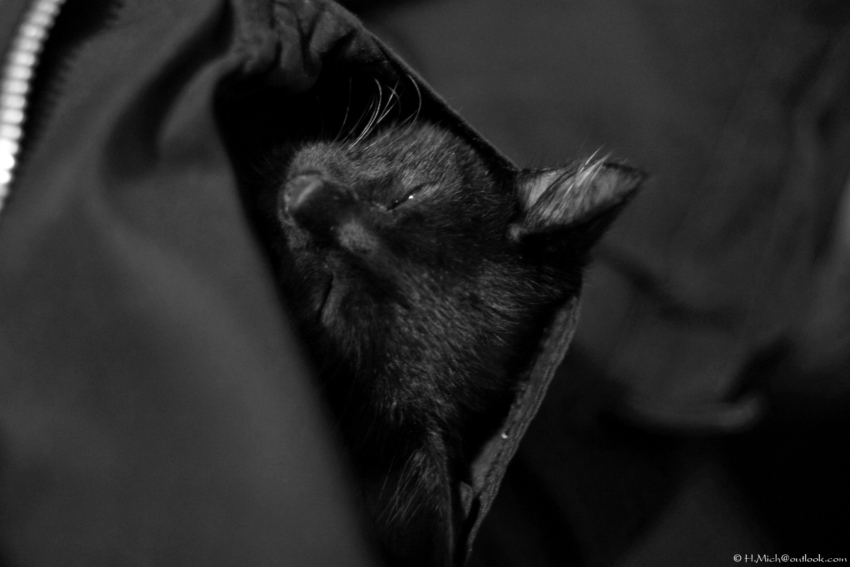 Studio-One.Art.br Repo Fotografia em Rio Preto SP/Brasil