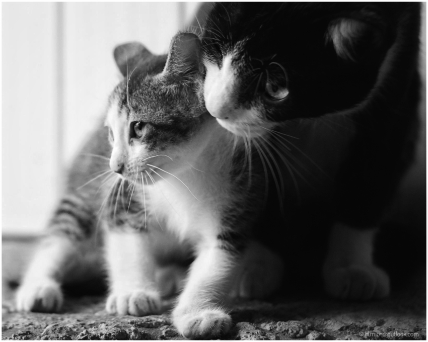 Studio-One.Art.br Repo Fotografia em Rio Preto SP/Brasil