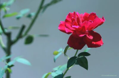 2022 06 15(20)