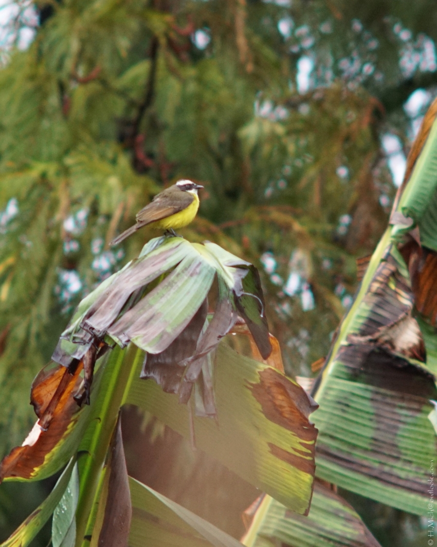 Studio-One.Art.br Repo Fotografia em Rio Preto SP/Brasil