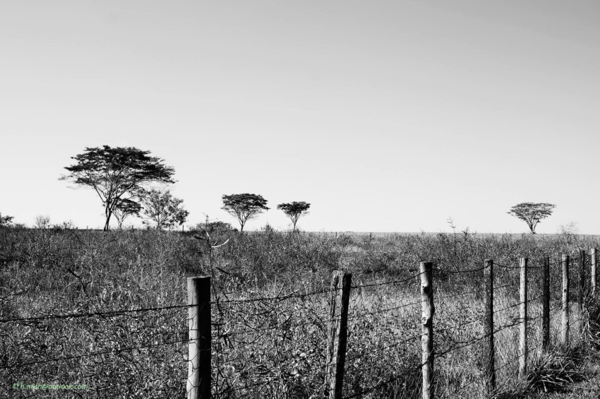 Studio-One.Art.br Repo Fotografia em Rio Preto SP/Brasil