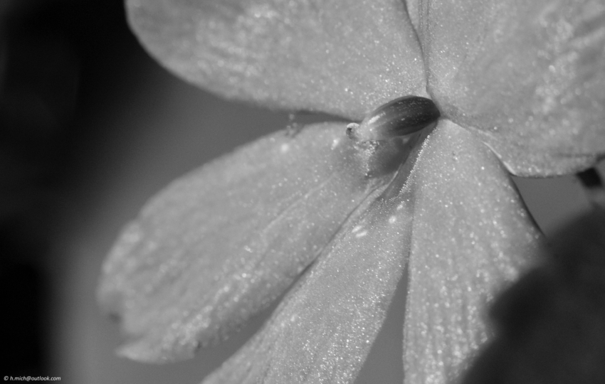 Studio-One.Art.br Repo Fotografia em Rio Preto SP/Brasil