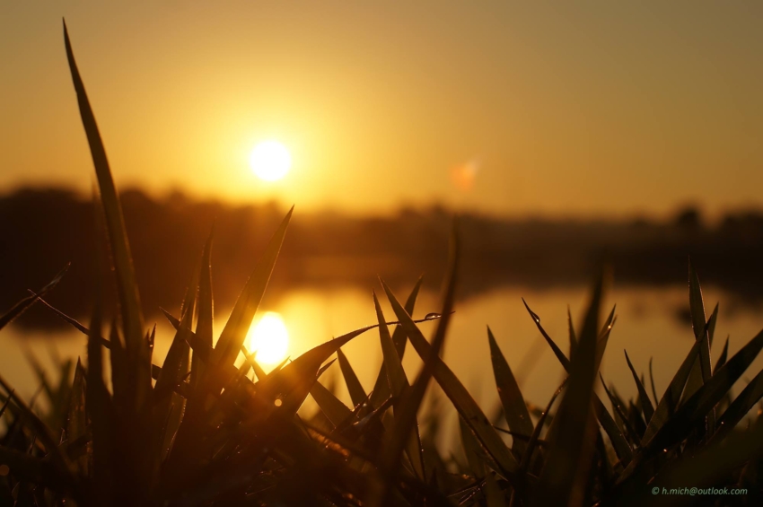 Studio-One.Art.br Repo Fotografia em Rio Preto SP/Brasil