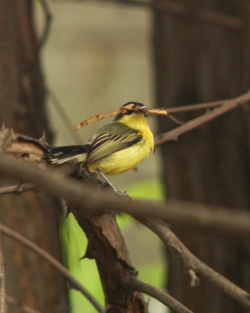 Studio-One.Art.br Repo Fotografia em Rio Preto SP/Brasil