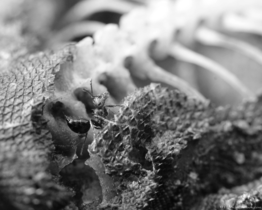 Studio-One.Art.br Repo Fotografia em Rio Preto SP/Brasil