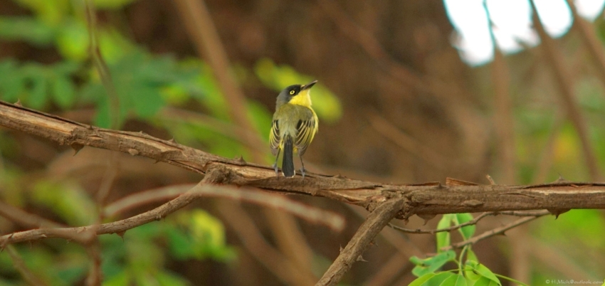 Studio-One.Art.br Repo Fotografia em Rio Preto SP/Brasil