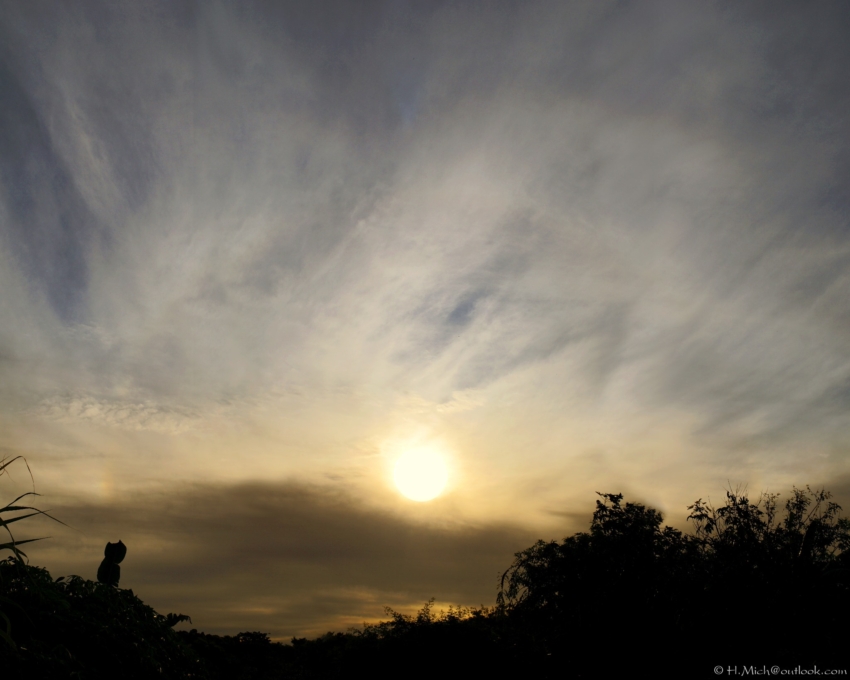 Studio-One.Art.br Repo Fotografia em Rio Preto SP/Brasil