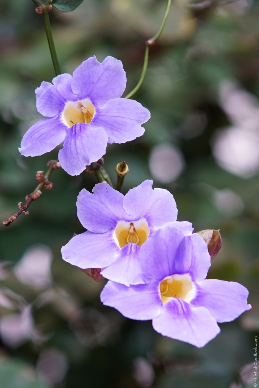 Studio-One.Art.br Repo Fotografia em Rio Preto SP/Brasil