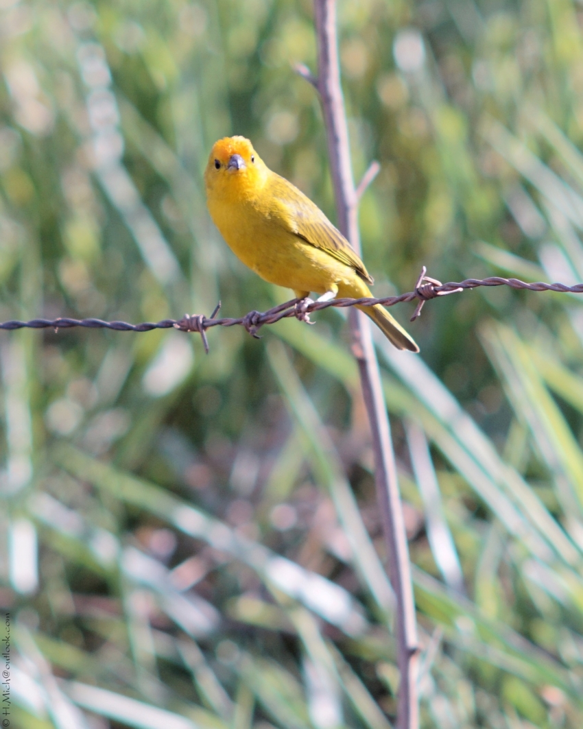 Studio-One.Art.br Repo Fotografia em Rio Preto SP/Brasil