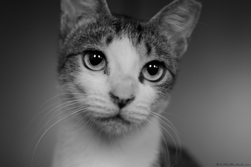 Studio-One.Art.br Repo Fotografia em Rio Preto SP/Brasil