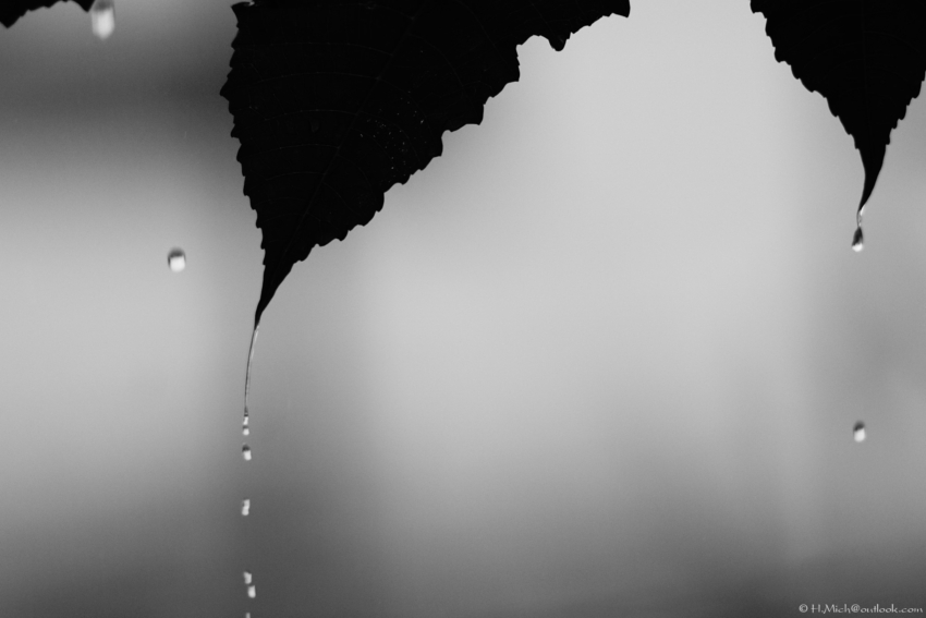 Studio-One.Art.br Repo Fotografia em Rio Preto SP/Brasil