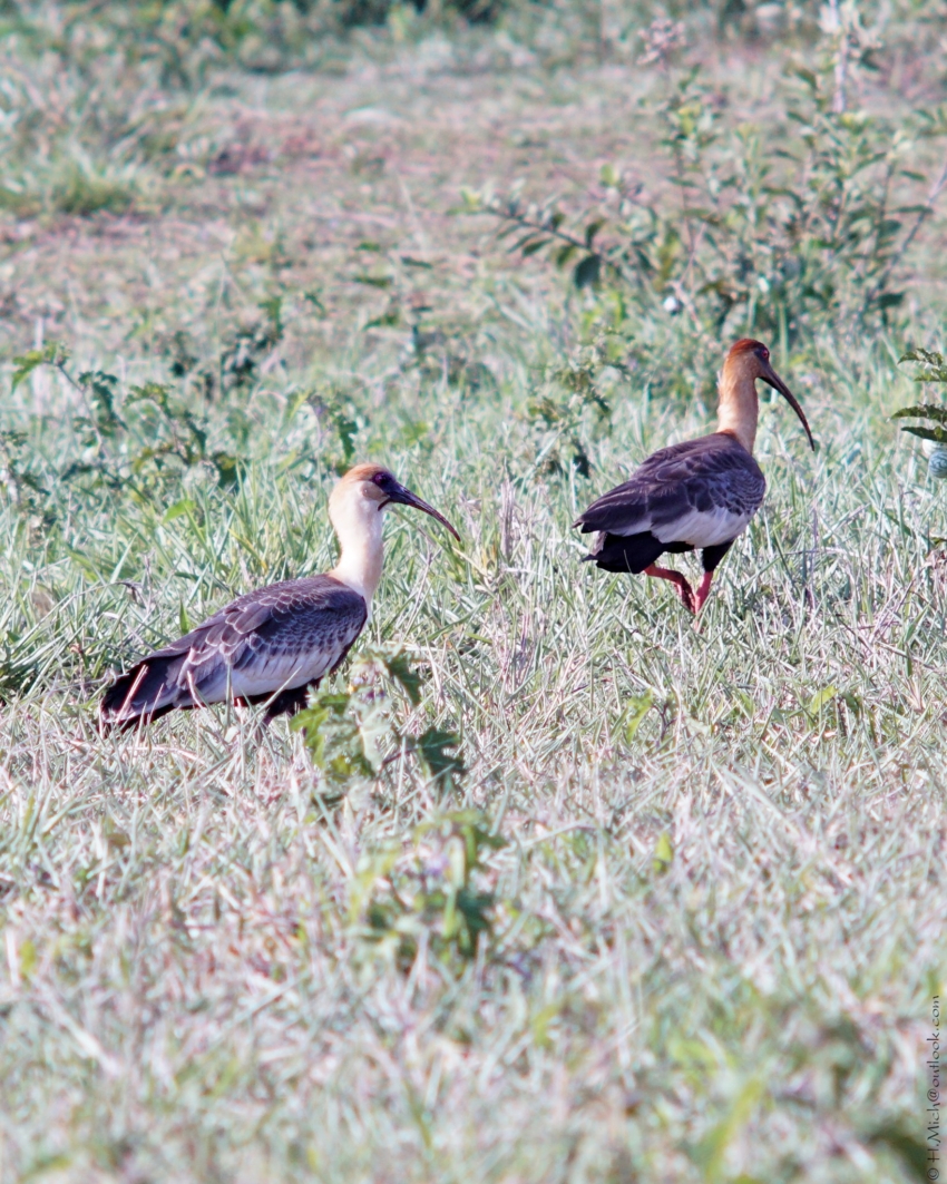 Studio-One.Art.br Repo Fotografia em Rio Preto SP/Brasil