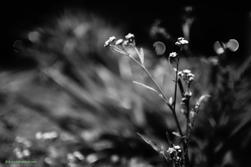 Studio-One.Art.br Repo Fotografia em Rio Preto SP/Brasil