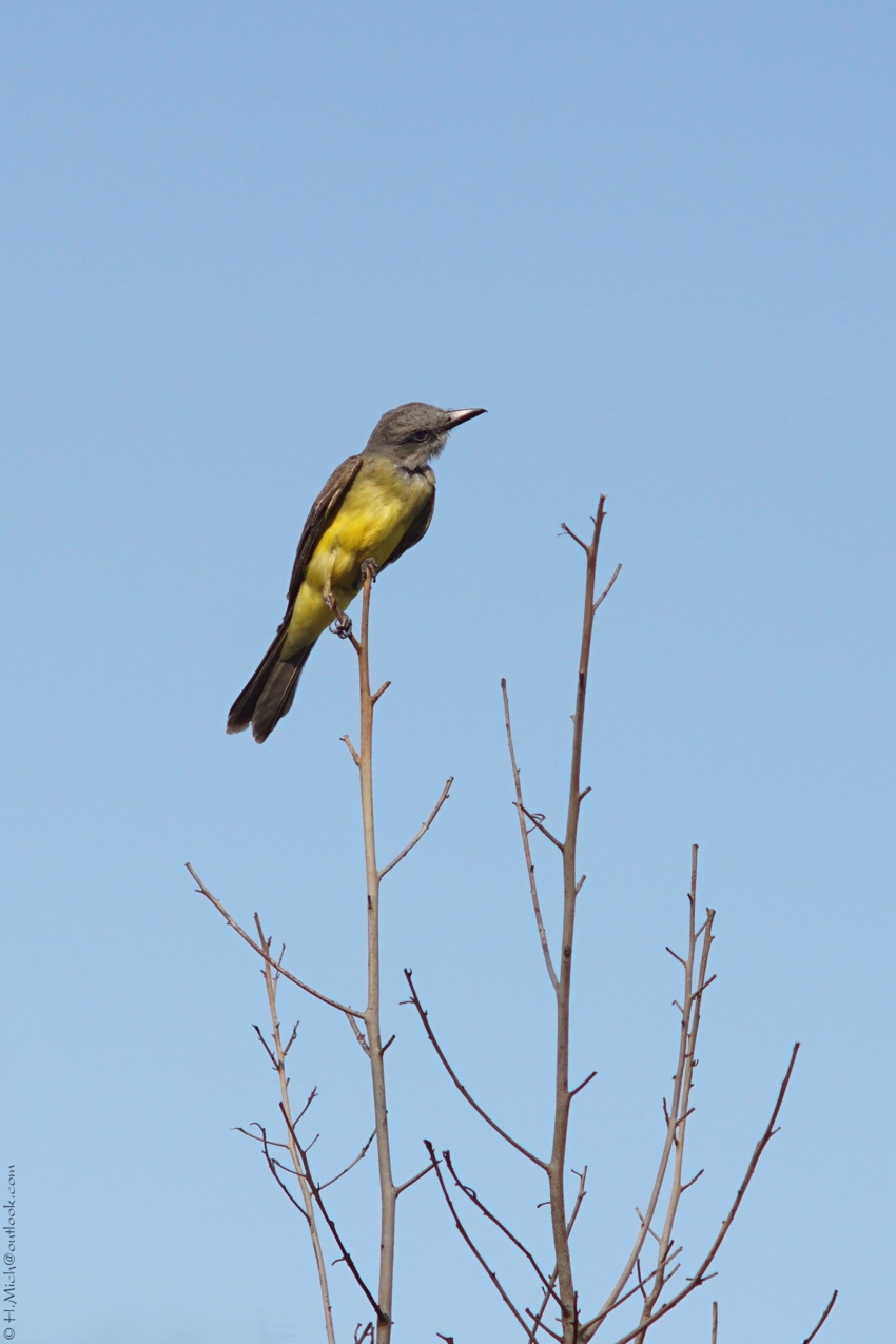 Studio-One.Art.br Repo Fotografia em Rio Preto SP/Brasil