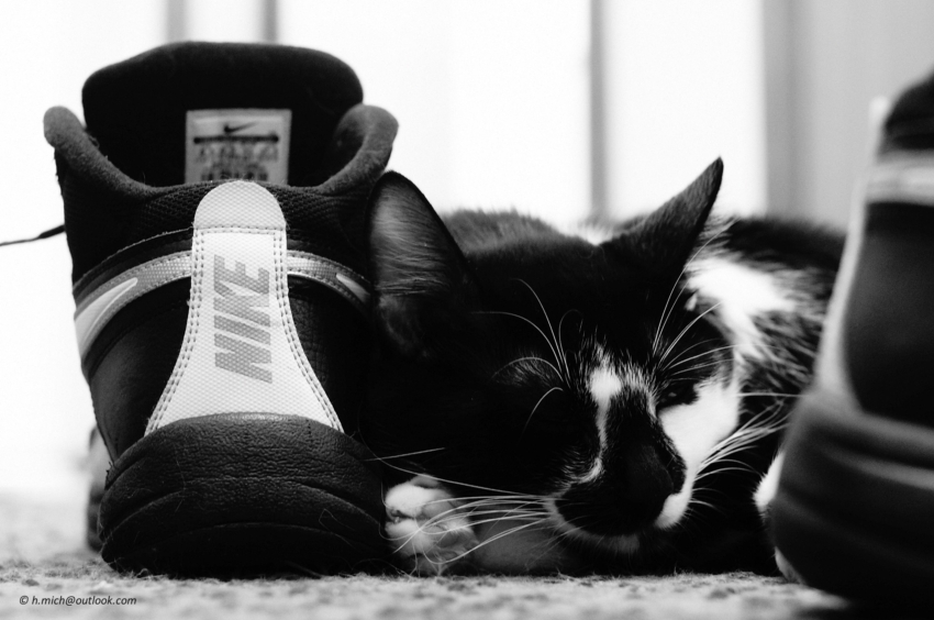 Studio-One.Art.br Repo Fotografia em Rio Preto SP/Brasil