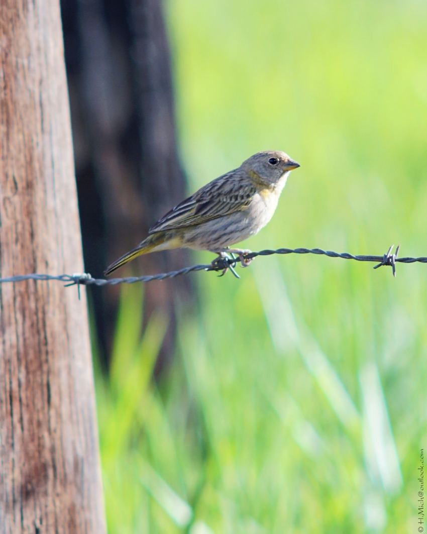 Studio-One.Art.br Repo Fotografia em Rio Preto SP/Brasil
