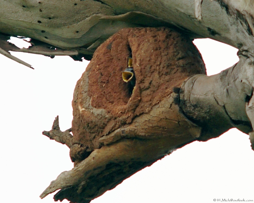 Studio-One.Art.br Repo Fotografia em Rio Preto SP/Brasil