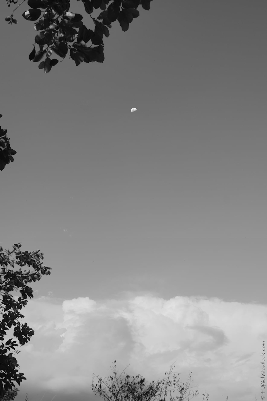 Studio-One.Art.br Repo Fotografia em Rio Preto SP/Brasil